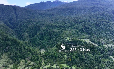 VIVE LA INMENSIDAD DE EL YUNGUE, 253 HA PATAGONIA