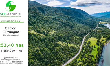VIVE LA INMENSIDAD DE EL YUNGUE, 253 HA PATAGONIA