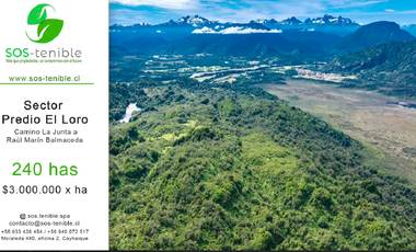 INVIERTE EN 240 HAS DE NATURALEZA EN LA ZONA NORTE DE  AYSÉN