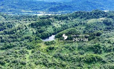 INVIERTE EN 240 HAS DE NATURALEZA EN LA ZONA NORTE DE  AYSÉN