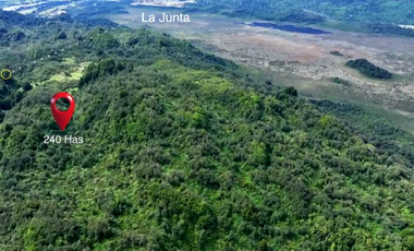 INVIERTE EN 240 HAS DE NATURALEZA EN LA ZONA NORTE DE  AYSÉN