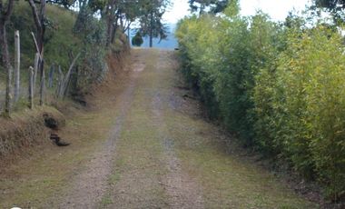 Casa-Finca en Venta Ubicado en Guarne Codigo 2098