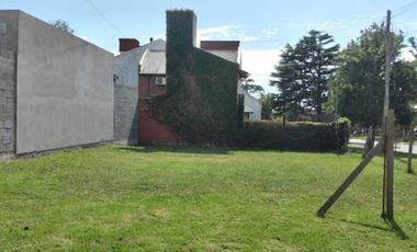 LOTE