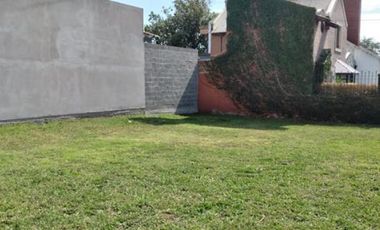 LOTE