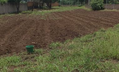Terreno en venta Tlayacapan Morelos
