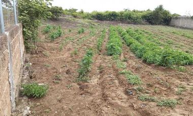 Terreno en venta Tlayacapan Morelos