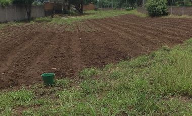 Terreno en venta en Morelos,Tlayacapan