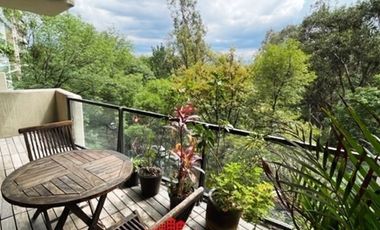 Renta departamento amueblado con terraza y vista arbolada