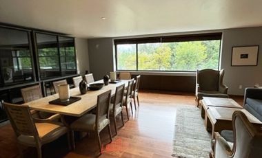 Renta departamento amueblado con terraza y vista arbolada