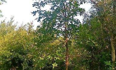 Rancho en venta en Cadereyta Jiménez, Nuevo León