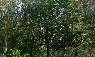 Rancho en venta en Cadereyta Jiménez, Nuevo León