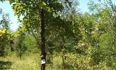 Rancho en venta en Cadereyta Jiménez, Nuevo León
