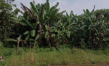 Rumah&Villa LT 3800m² ,Dekat Jln Raya