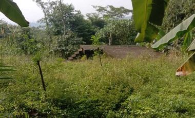 Rumah&Villa LT 3800m² ,Dekat Jln Raya