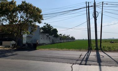LAHAN KOMERSIAL DI RANCAEKEK MAJALAYA BANDUNG