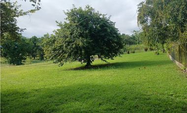 TERRENO / EL HIGO SAN CARLOS /1516M / GAZEBO DE CEMENTO