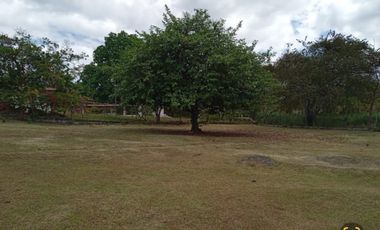 TERRENO / EL HIGO SAN CARLOS /1516M / GAZEBO DE CEMENTO