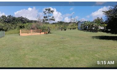 TERRENO / EL HIGO SAN CARLOS /1516M / GAZEBO DE CEMENTO
