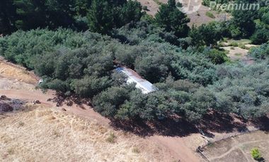 Parcela en Venta en COMUNA DE FLORIDA, SECTOR DE PENINHUEQUE