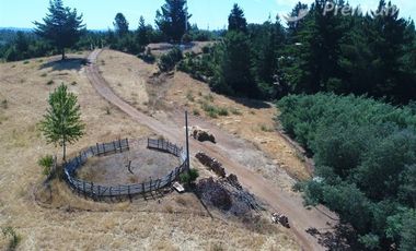 Parcela en Venta en COMUNA DE FLORIDA, SECTOR DE PENINHUEQUE