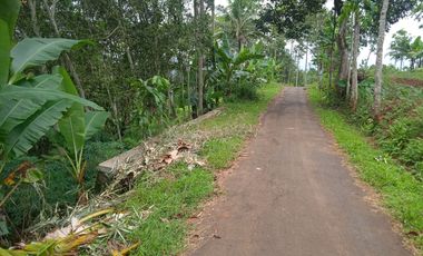 Dijual Tanah 700 meter Di Kalikidang Sokaraja Banyumas