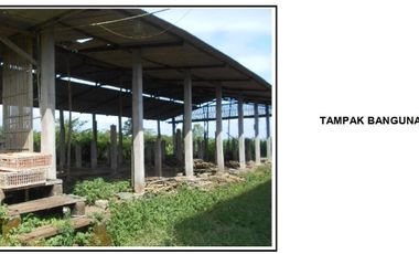 Dijual Murah Tanah & Kandang Ayam Petelur di Purbalingga Jawa Tengah