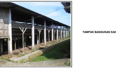 Dijual Murah Tanah & Kandang Ayam Petelur di Purbalingga Jawa Tengah