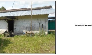 Dijual Murah Tanah & Kandang Ayam Petelur di Purbalingga Jawa Tengah