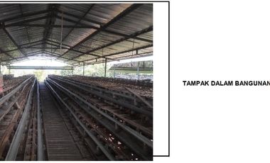 Dijual Murah Tanah & Kandang Ayam Petelur di Purbalingga Jawa Tengah