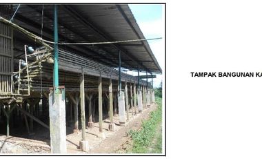 Dijual Murah Tanah & Kandang Ayam Petelur di Purbalingga Jawa Tengah