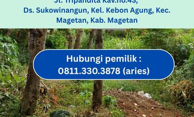 JUAL TANAH SHM KEBONAGUNG MAGETAN MURAH