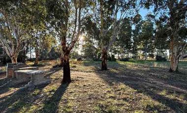 Quinta en venta en Medanos