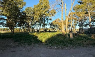 Quinta en venta en Medanos