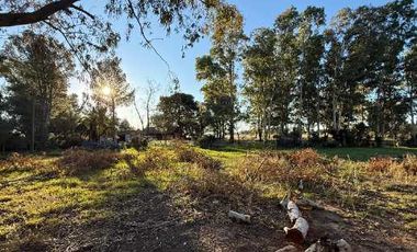 Quinta en venta en Medanos