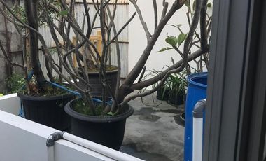 Rumah dijual Jl elang Manahan Solo