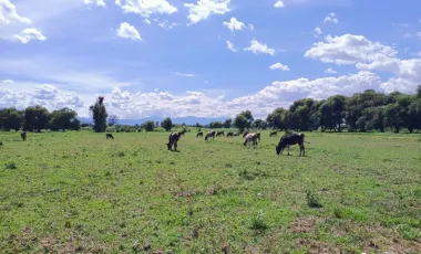 Terreno Habitacional en Venta en Autopista México Puebla, Huejotzingo