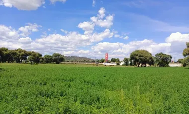 Terreno Habitacional en Venta en Autopista México Puebla, Huejotzingo