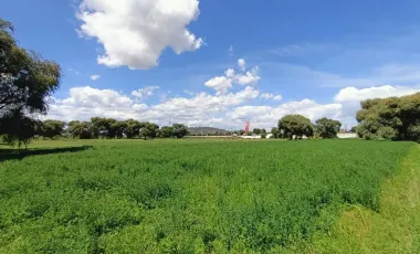 Terreno Habitacional en Venta en Autopista México Puebla, Huejotzingo