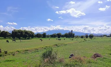 Terreno Habitacional en Venta en Autopista México Puebla, Huejotzingo