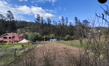 Terreno de venta en Ricaurte, San Martin – código:21875