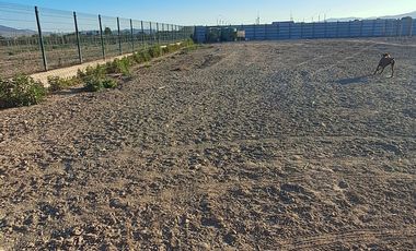 PARCELA AGRADO SECTOR NORTE COPIAPO