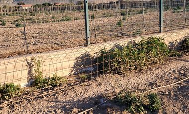 PARCELA AGRADO SECTOR NORTE COPIAPO