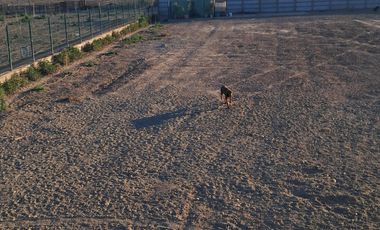 PARCELA AGRADO SECTOR NORTE COPIAPO