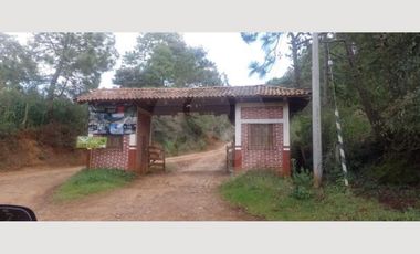 Terreno residencial en venta en Pueblo Mazamitla