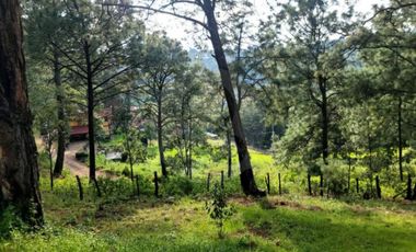 Terreno residencial en venta en Pueblo Mazamitla