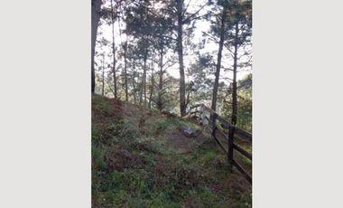 Terreno residencial en venta en Pueblo Mazamitla