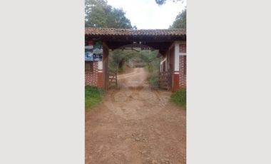 Terreno residencial en venta en Pueblo Mazamitla