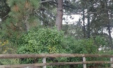 Terreno residencial en venta en Pueblo Mazamitla