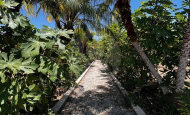 Terreno residencial en venta en Pueblo Tuxcueca