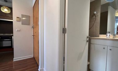 Arriendo Departamento Amoblado de Alto Estándar – Santiago C